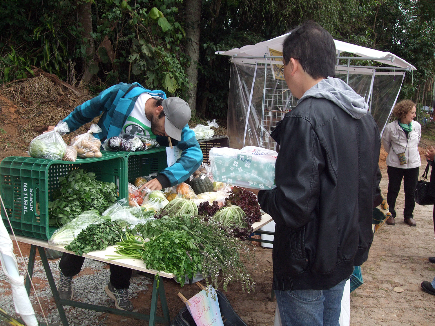 Feira - verduras legumes e temperos bio-dinâmicos